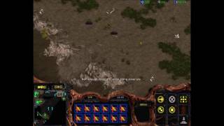 Starcraft Beginners Tutorial Zerg v Terran  Basic Opening amp Concepts [upl. by Smukler]