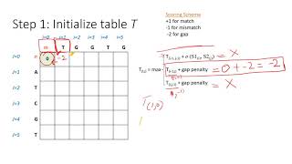 Introduction to Bioinformatics  Needleman Wunsch Algorithm [upl. by Lemar262]