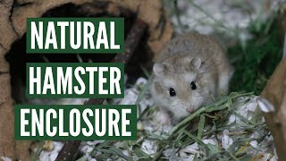 How to make a Natural Hamster Enclosure [upl. by Ciri]