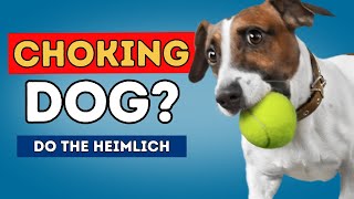 Choking Dog How To Do The Heimlich [upl. by Flavius]