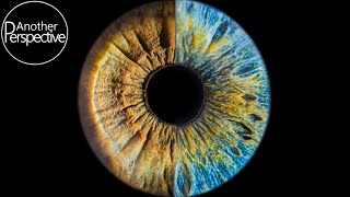 Eye Photography  How to take a sharp Image of your Iris [upl. by Cartwright]