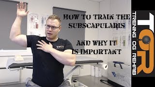 How to train the subscapularis and why its important [upl. by Ferrigno]