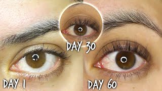 60 Days Using Castor Oil For Eyelash Growth Results WITH ROSEMARY [upl. by Ahsela194]