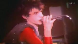 Fad Gadget  Coitus Interruptus Music Video [upl. by Shir]