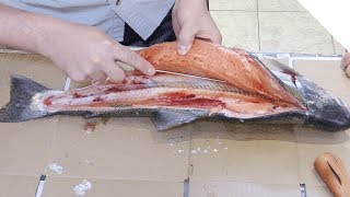 How to fillet a trout [upl. by Neddra]