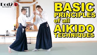 Aikido Principles You MUST Know [upl. by Agrippina]