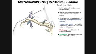 All You Need To Know About Joint Injections [upl. by Trepur98]