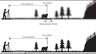 Depth of Field An Easy Overview 2023 [upl. by Bevers775]