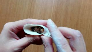 How to fold a jiaozi chinese dumpling 包餃子 [upl. by Felise]