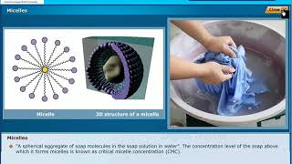 Saponification Reaction Carbon and its Compounds Class 10 Physics [upl. by Hahnert]