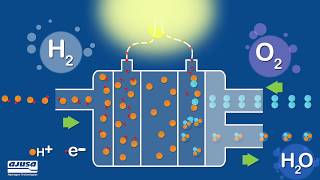 ¿Cómo funciona una pila de hidrógeno  How does a hydrogen fuel cell work [upl. by Eiggam]