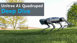 Unitree A1 Quadruped Deep Dive [upl. by Gwyneth]