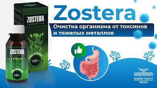 Продукт Zostera [upl. by Tirreg206]