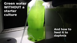 Green Water WITHOUT a Starter Culture  From Scratch  How To [upl. by Anaik428]