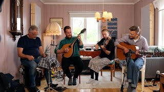 Den ljusa hallingen  Swedish Folk Music [upl. by Jannelle]