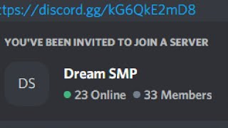 The Dream SMP Discord Server WAS LEAKEDlink [upl. by Abbye]