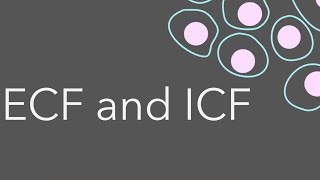 3 Intro to fluid compartments ECF and ICF [upl. by Joanie]