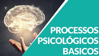 PROCESSOS PSICOLOGICOS BASICOS [upl. by Annonyw]