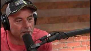 Joe Rogan  Jiu Jitsu is the Truest Martial Art [upl. by Arst]