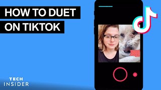 How To Duet On TikTok [upl. by Quinby]