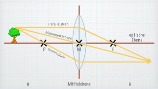 Linsen in der Optik [upl. by Derman500]