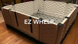 EZ Whelp Assembly and Review [upl. by Rolf662]