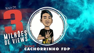 Cachorrinho Meme Remix  Junior Santorini Áudio Oficial [upl. by Gayl941]