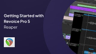 Getting Started with Revoice Pro 5 in Reaper [upl. by Dickenson]