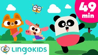 Five Senses Song  More Songs for Kids 🌈 Lingokids [upl. by Lokim236]