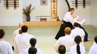 What Is Aikido  Aikido Lessons [upl. by Chelsie]