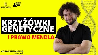 KRZYŻÓWKI GENETYCZNE I PRAWO MENDLA  Genetyka klasyczna Matura z biologii 2023 [upl. by Joy]