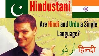 Hindi and Urdu  THE SAME LANGUAGE Hindustani [upl. by Nerradal363]