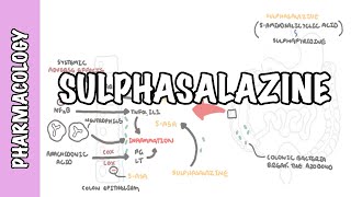 Sulphasalazine DMARD  Pharmacology mechanism of action metabolism side effects [upl. by Dumah740]