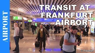 TRANSIT WALK AT FRANKFURT Airport FRA Terminal 1  Connection Flight Transfer Arriving amp Departing [upl. by Potter]