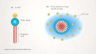 How does Soap Work [upl. by Notsud]