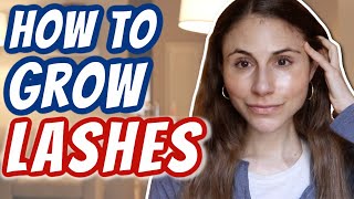 How to GROW LASHES Dr Dray [upl. by Okram]