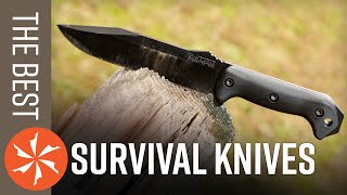 Best Survival Knives [upl. by Placia486]