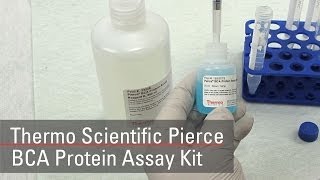 BCA Protein Assay Reagent bicinchoninic acid [upl. by Latihs950]