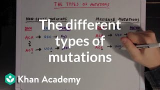 The different types of mutations  Biomolecules  MCAT  Khan Academy [upl. by Myranda]