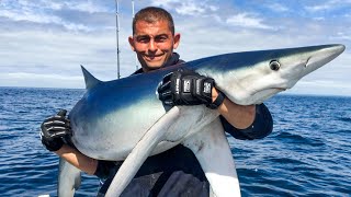 Shark Fishing  Sea Fishing UK  HUGE SHARKS  The Fish Locker [upl. by Attelra704]