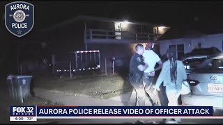 COP ATTACKED Illinois police officer beaten and strangled during traffic stop [upl. by Asyram]