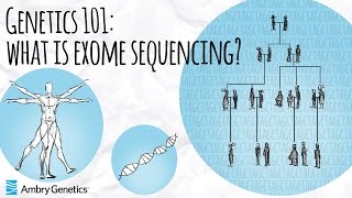 What is Exome Sequencing  Genetics 101  Ambry Genetics [upl. by Nitsirc]