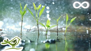 Relaxing Piano Music amp Soft Rain Sounds • Background Sleep Music  Raindrops Extended [upl. by Torp]