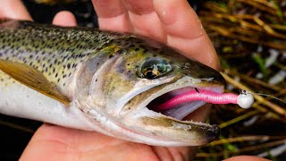 How To Fish MICRO Worms For TROUT In Creeks Rivers amp Streams [upl. by Trinetta]