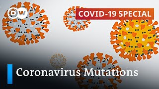 What do the current mutations mean for the coronavirus pandemic  COVID19 Special [upl. by Hnaht]