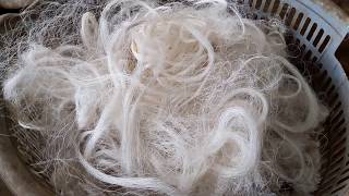 How is Silk made [upl. by Namhar]